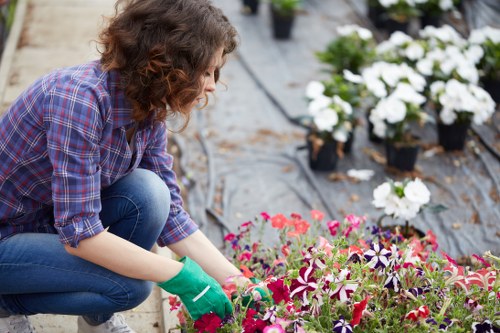 Gardener inspecting a garden during a pre-work site survey