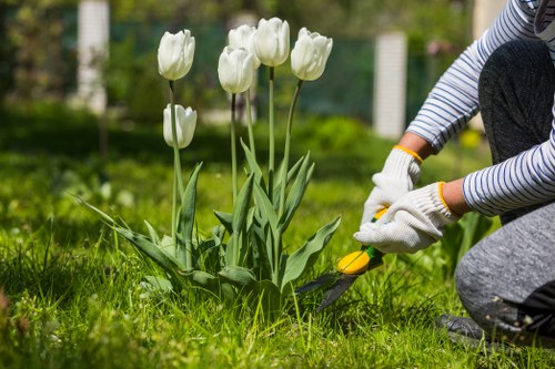 Beautiful Fulham garden showcasing professional landscaping