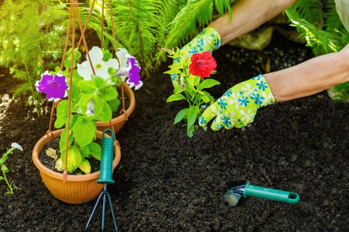 Close-up of planting activity in a Fulham garden bed