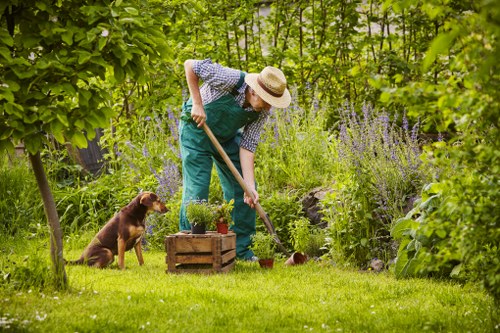 Professional garden clearance in Fulham