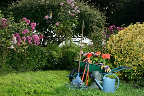 Pruning and trimming plants during garden clearance