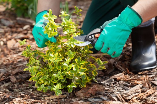 Eco-friendly lawn care practices in Fulham