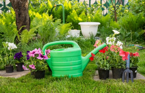 Winter-protected garden plants in Fulham