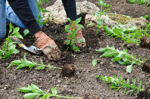 Customized garden design by Fulham Gardening Services