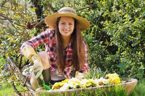 Professional garden maintenance services