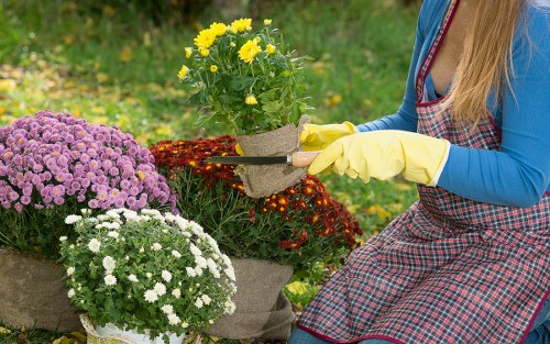 Summer garden care with lush greenery