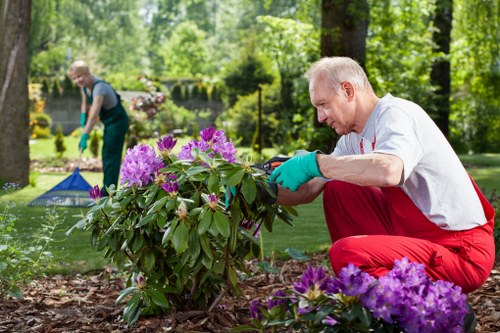 Gardener using raised beds suitable for accessible gardening