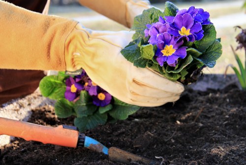 Fulham Gardening team at work in a vibrant garden