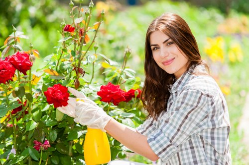 Spring garden maintenance activities