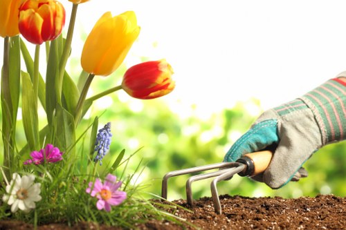 Cost-effective tree maintenance services