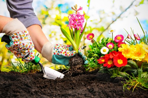 Professional landscaper planning a garden design in Fulham