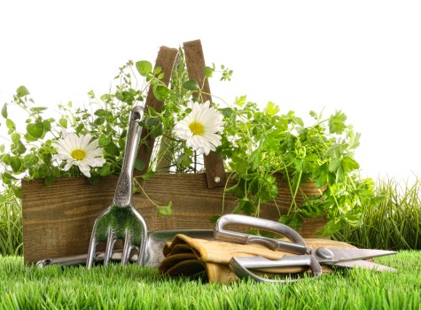 Eco-friendly composite decking materials