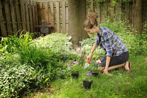 Expert selecting the right trimming technique