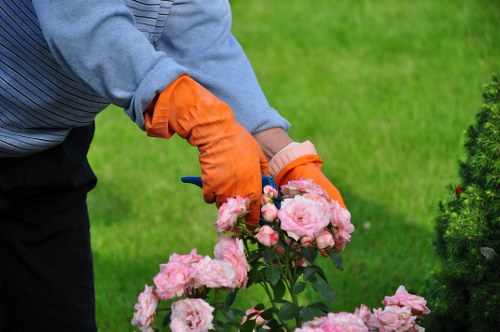 Cost-effective hedge maintenance solutions