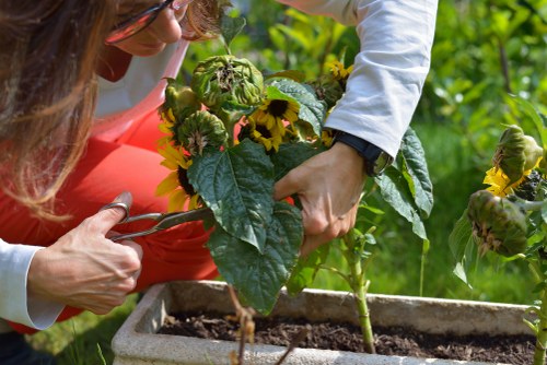 Eco-friendly gardening practices by Fulham experts